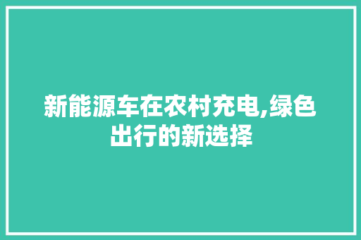 新能源车在农村充电,绿色出行的新选择
