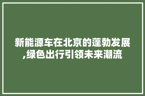 新能源车在北京的蓬勃发展,绿色出行引领未来潮流