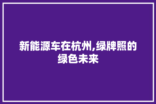 新能源车在杭州,绿牌照的绿色未来 发动机配件