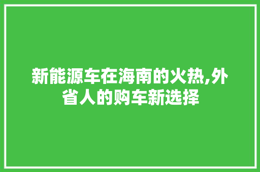 新能源车在海南的火热,外省人的购车新选择