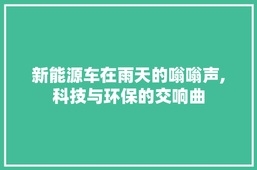新能源车在雨天的嗡嗡声,科技与环保的交响曲