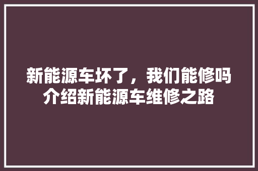 新能源车坏了，我们能修吗介绍新能源车维修之路