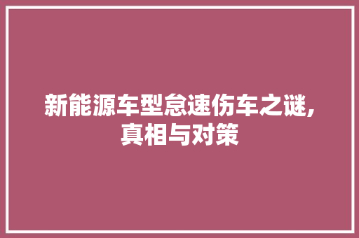 新能源车型怠速伤车之谜,真相与对策