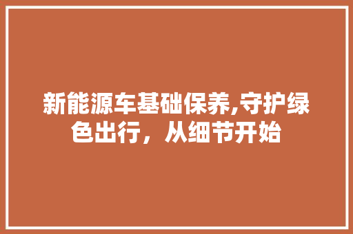 新能源车基础保养,守护绿色出行，从细节开始