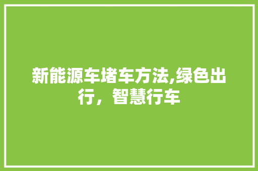 新能源车堵车方法,绿色出行，智慧行车 底盘配件