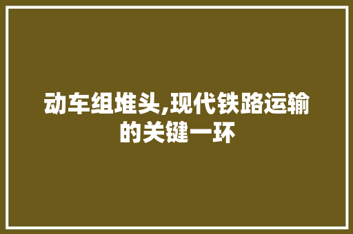 动车组堆头,现代铁路运输的关键一环