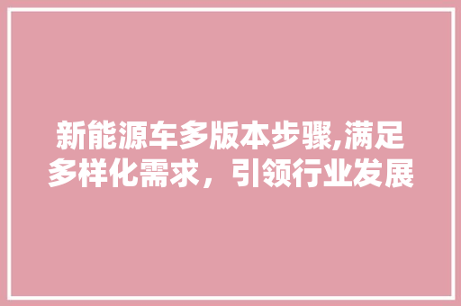 新能源车多版本步骤,满足多样化需求，引领行业发展