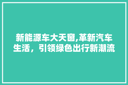 新能源车大天窗,革新汽车生活，引领绿色出行新潮流