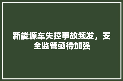 新能源车失控事故频发，安全监管亟待加强