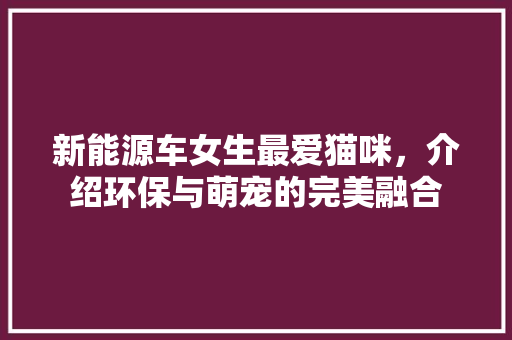 新能源车女生最爱猫咪，介绍环保与萌宠的完美融合 蓄电池配件