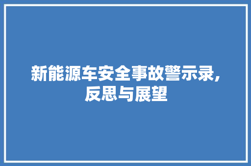 新能源车安全事故警示录,反思与展望
