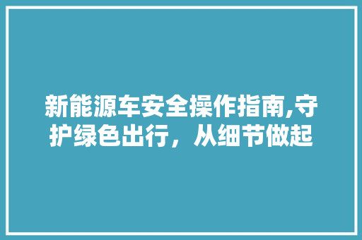 新能源车安全操作指南,守护绿色出行，从细节做起