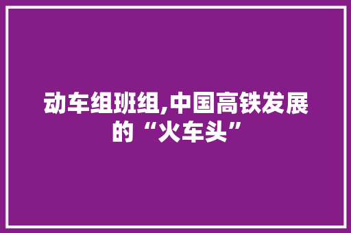 动车组班组,中国高铁发展的“火车头”