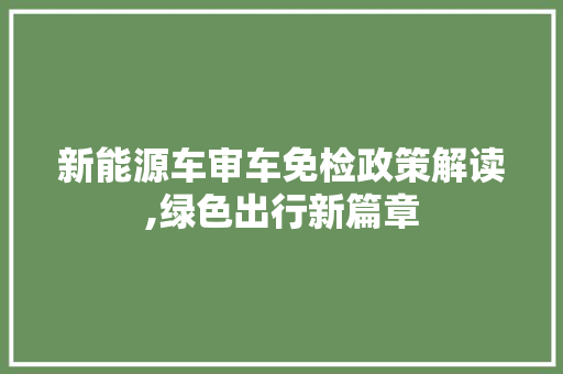 新能源车审车免检政策解读,绿色出行新篇章