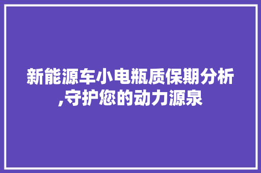 新能源车小电瓶质保期分析,守护您的动力源泉