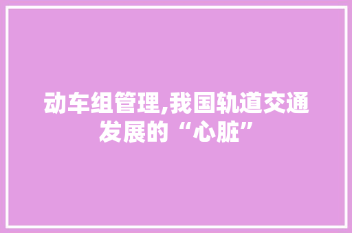 动车组管理,我国轨道交通发展的“心脏”