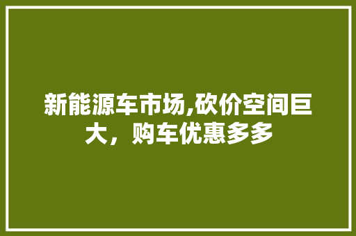 新能源车市场,砍价空间巨大，购车优惠多多