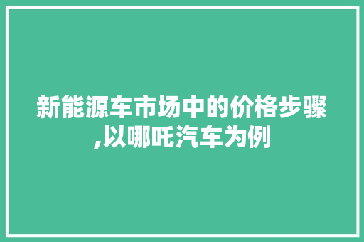 新能源车市场中的价格步骤,以哪吒汽车为例
