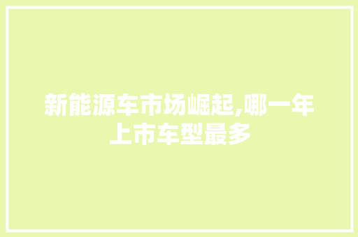 新能源车市场崛起,哪一年上市车型最多