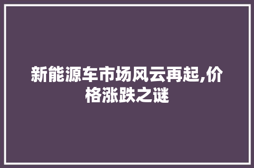 新能源车市场风云再起,价格涨跌之谜