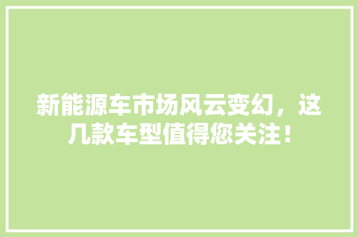 新能源车市场风云变幻，这几款车型值得您关注！