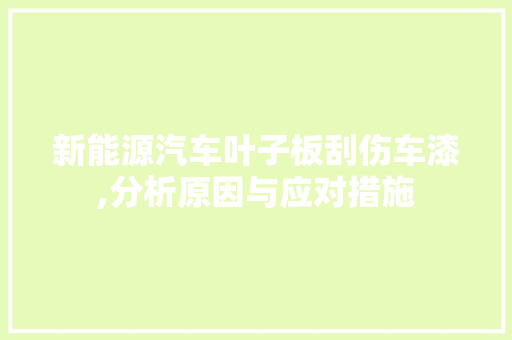 新能源汽车叶子板刮伤车漆,分析原因与应对措施 新款车型
