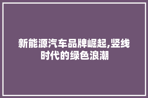 新能源汽车品牌崛起,竖线时代的绿色浪潮