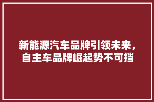 新能源汽车品牌引领未来，自主车品牌崛起势不可挡