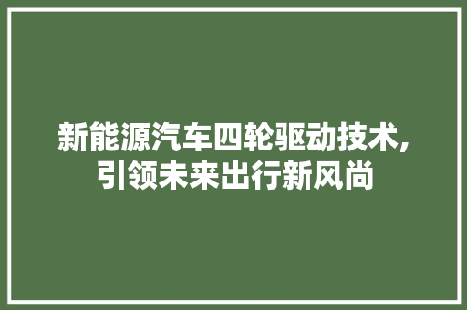 新能源汽车四轮驱动技术,引领未来出行新风尚 新能源汽车