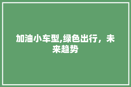 加油小车型,绿色出行，未来趋势