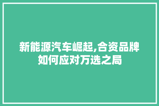 新能源汽车崛起,合资品牌如何应对万选之局