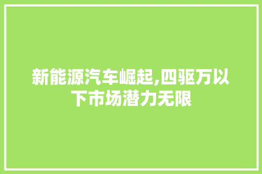 新能源汽车崛起,四驱万以下市场潜力无限