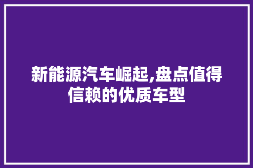 新能源汽车崛起,盘点值得信赖的优质车型