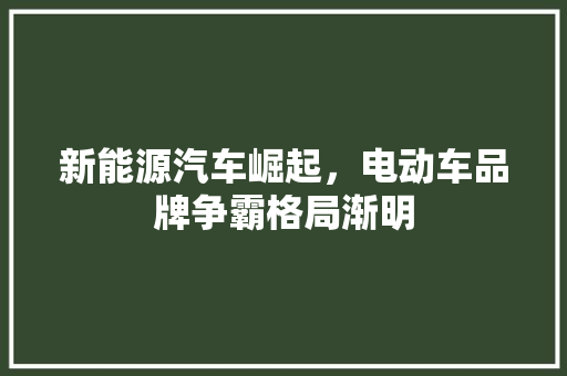 新能源汽车崛起，电动车品牌争霸格局渐明