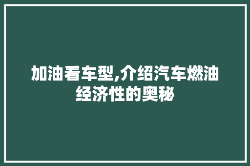 加油看车型,介绍汽车燃油经济性的奥秘
