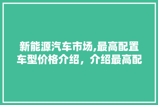 新能源汽车市场,最高配置车型价格介绍，介绍最高配置新能源车的价格之谜