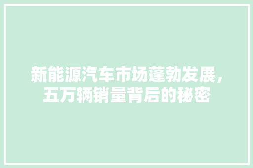 新能源汽车市场蓬勃发展，五万辆销量背后的秘密