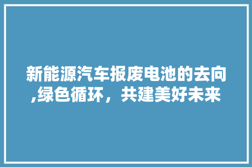 新能源汽车报废电池的去向,绿色循环，共建美好未来 汽车配件