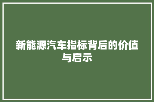 新能源汽车指标背后的价值与启示