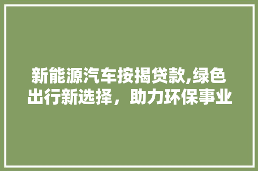 新能源汽车按揭贷款,绿色出行新选择，助力环保事业