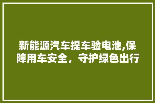 新能源汽车提车验电池,保障用车安全，守护绿色出行