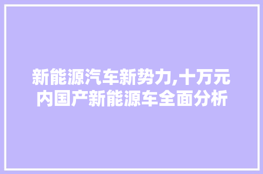 新能源汽车新势力,十万元内国产新能源车全面分析
