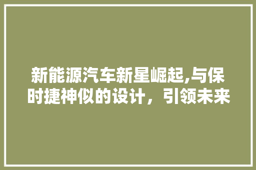 新能源汽车新星崛起,与保时捷神似的设计，引领未来出行潮流 车身配件