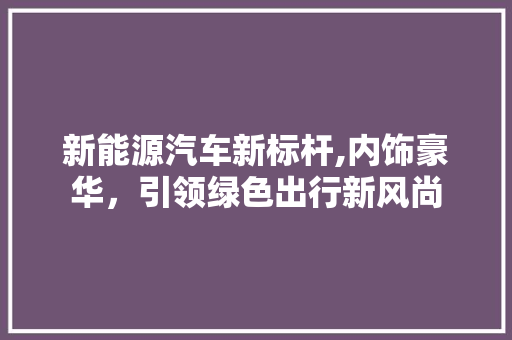 新能源汽车新标杆,内饰豪华，引领绿色出行新风尚
