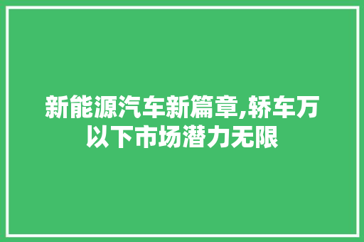 新能源汽车新篇章,轿车万以下市场潜力无限