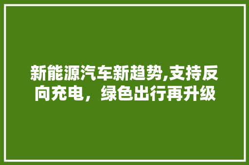 新能源汽车新趋势,支持反向充电，绿色出行再升级
