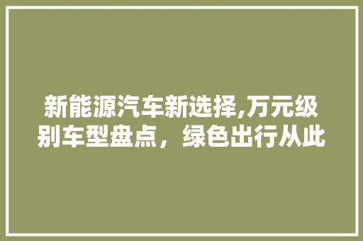 新能源汽车新选择,万元级别车型盘点，绿色出行从此不再遥远