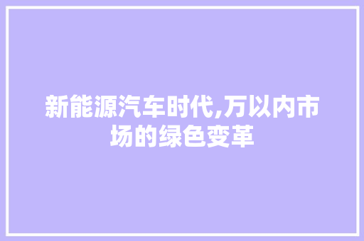 新能源汽车时代,万以内市场的绿色变革