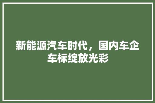 新能源汽车时代，国内车企车标绽放光彩