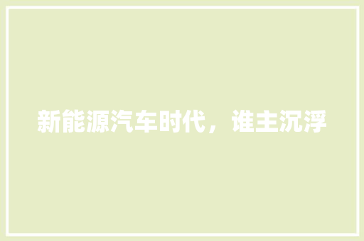 新能源汽车时代，谁主沉浮